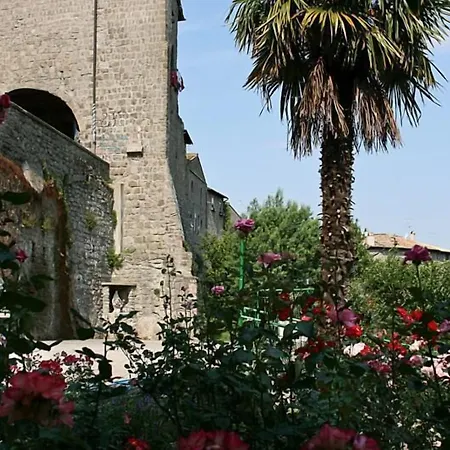 Nazareth Viterbo